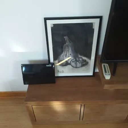 Apartment Sanjar Vrnjacka Banja