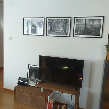 Sanjar Apartman Vrnjačka Banja